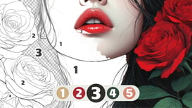 Numicolor game cover