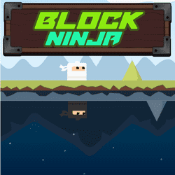 Block Ninja game cover
