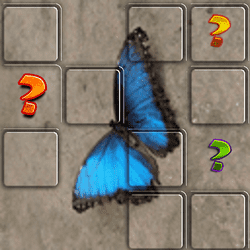 Butterfly Memory Match - Memory educational game