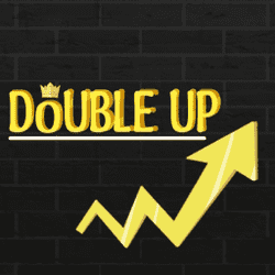 Double Up game cover