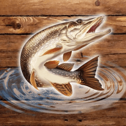 Fish Rain - Science educational game