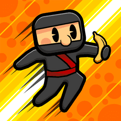 Ninja Parakite game cover