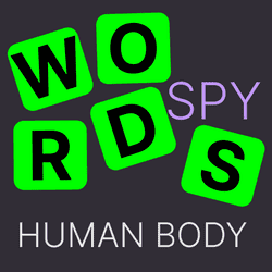 Words Spy Human body game cover